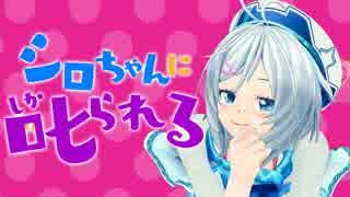 【シロちゃんに】「バイバイの時手を振るのはなぜ？」あなたは答えられる？！【叱られる】　