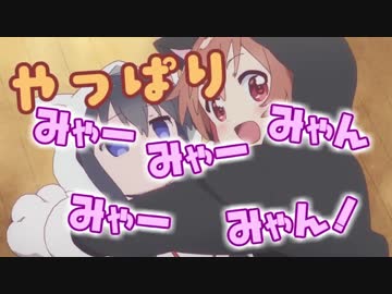 ニャっぱりニャー姉なんばーニャン