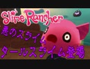 【実況】邪悪なスライム現る！？【スライムランチャー】#3