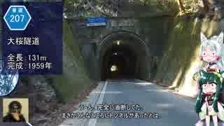 【ずんタコ車載】初心者の癖にカブでお花見ツーリング B編