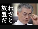 文在寅が韓国ウォン暴落の通貨危機を見て見ぬふりするホントの理由に一同驚愕！