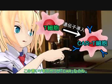 白血病の新薬 キムリアってどんな薬？【ゆっくり解説】