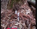 （雑談回）変態忍者の、狩猟＆有害鳥獣駆除従事活動記・その７２