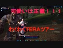 【TERA】タケフツと行くわくわくTERAツアー　前編