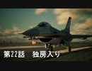 【エースコンバット７】まったりブルー Part 22【実況】