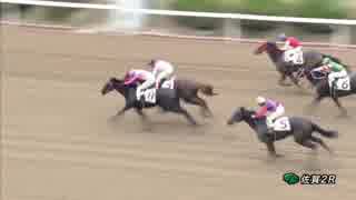 2019年5月18日佐賀競馬2R 2歳-1組(新馬) ミスカゴシマ