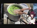 【VOICEROID車載】きりたんの皮を被って旅をする『本栖湖キャンプ』