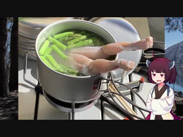 【VOICEROID車載】きりたんの皮を被って旅をする『本栖湖キャンプ』