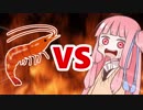 茜ちゃんVSエビ