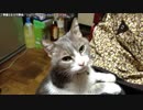 【生海月】なまくらじお【2019.5.19】