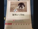 ❽❶猫