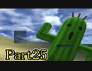 【FF10-2】私、カモメ団に入団します！☆パート25【初見実況】