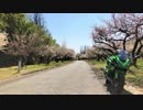 【Ninja1000】春を探しに行こう 2019