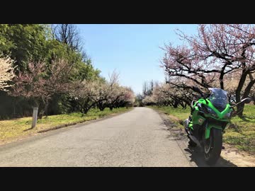 【Ninja1000】春を探しに行こう 2019