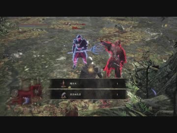 無能兵士の侵入3