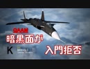 Ace Combat 7 Multiplayer87  バトルロイヤル  Su-47 + QAAM