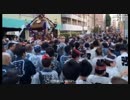 【野田草履P】三社祭に遊びに来たのだ。。【ツイキャス】