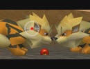 【実況】ポケモンスナップでたわむれる Part5　【ウインディキマシタワー】