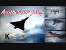 Ace Combat 7 Multiplayer90  バトルロイヤル  Mirage 2000 + 4AAM