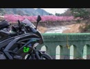 Luxury Rider 102  伊豆の桜とメシテロツーリング