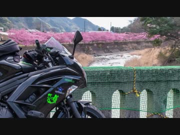 Luxury Rider 102  伊豆の桜とメシテロツーリング