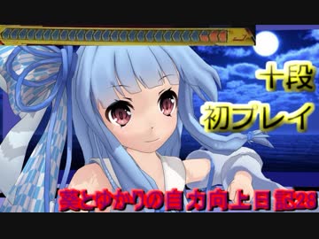 【DDR】葵とゆかりの自力向上日記28～十段～