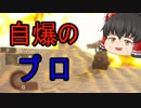 【EDF:IR】#11　スーパー兵士が地球を守護る！【ゆっくり実況】