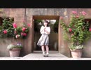 【音羽来夢】流星ダイアリー【踊ってみた】