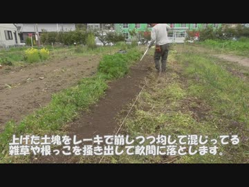 2019年3月19日：続・畝幅の変更作業とジャガイモの定植実験【畝作り・農具の使い方】