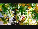 【GUMI】Determination【オリジナル】