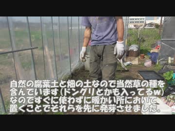 2019年3月20日：育苗用の土作り、キュウリとカボチャの種蒔き【農業記録】