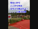 スパルタンレース2019千葉 ボランティア活動