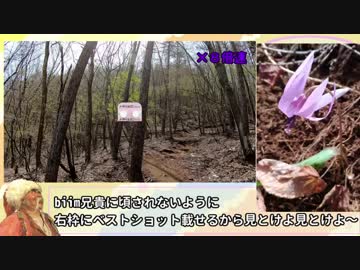 【ゆっくり】奥多摩御前山攻略RTA　3時間09分