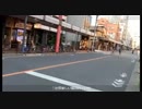 【野田草履P】20190519オークス馬券→三社祭に遊びにきたのだ。。～その５～【ツイキャス】