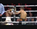 【ボクシング】井上尚弥VSエマヌエル・ロドリゲスWBSSバンタム級 Inoue vs Emmanuel Rodriguez Full Fight