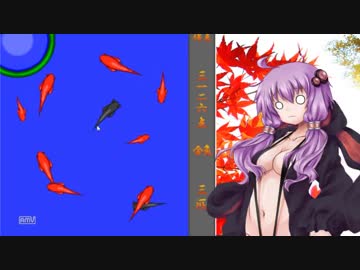 出張の疲れをを金魚すくいにぶつける動画する予定が雑談になった