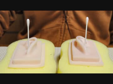 【ASMR】耳穴にぶっ刺さった綿棒を触る【音フェチ】