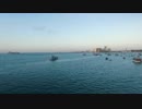 Pexels Videos 1570920　松本智幸