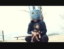 Dachshund -PADLUSH ダックスフンド - パドラッシュ