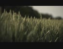 Pexels Videos 1620050　金本朝樹