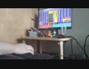 【TJAplayer3ver156】失望Chocoフルコンボ