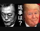 トランプ大統領が大阪G20後に訪韓する本当の理由が暴露され文在寅大統領遂に歯が全て無くなるｗ