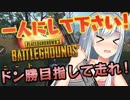 【PUBG実況】初心者がドン勝目指した結果、予想外の敵と戦うハメになった