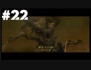 【ゼルダの伝説トワイライトプリンセス】リンクのことゼルダだと思ってた奴挙手【実況プレイ】 Part22