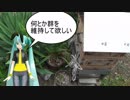 【素人養蜂　Part51】巣箱の引越しです