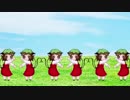 ねこの戯れ