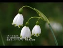誕生日に贈る言葉～5月21日生まれの才知に優れたあなたに－聴きものがたり