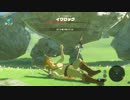 寝起きで世界を救う part5【ゼルダの伝説 ブレスオブザワイルド】