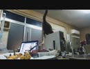 ズルッ！