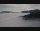 Pexels Videos 1911457　金本朝樹